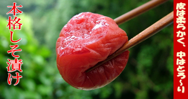 �����Ђ��~��